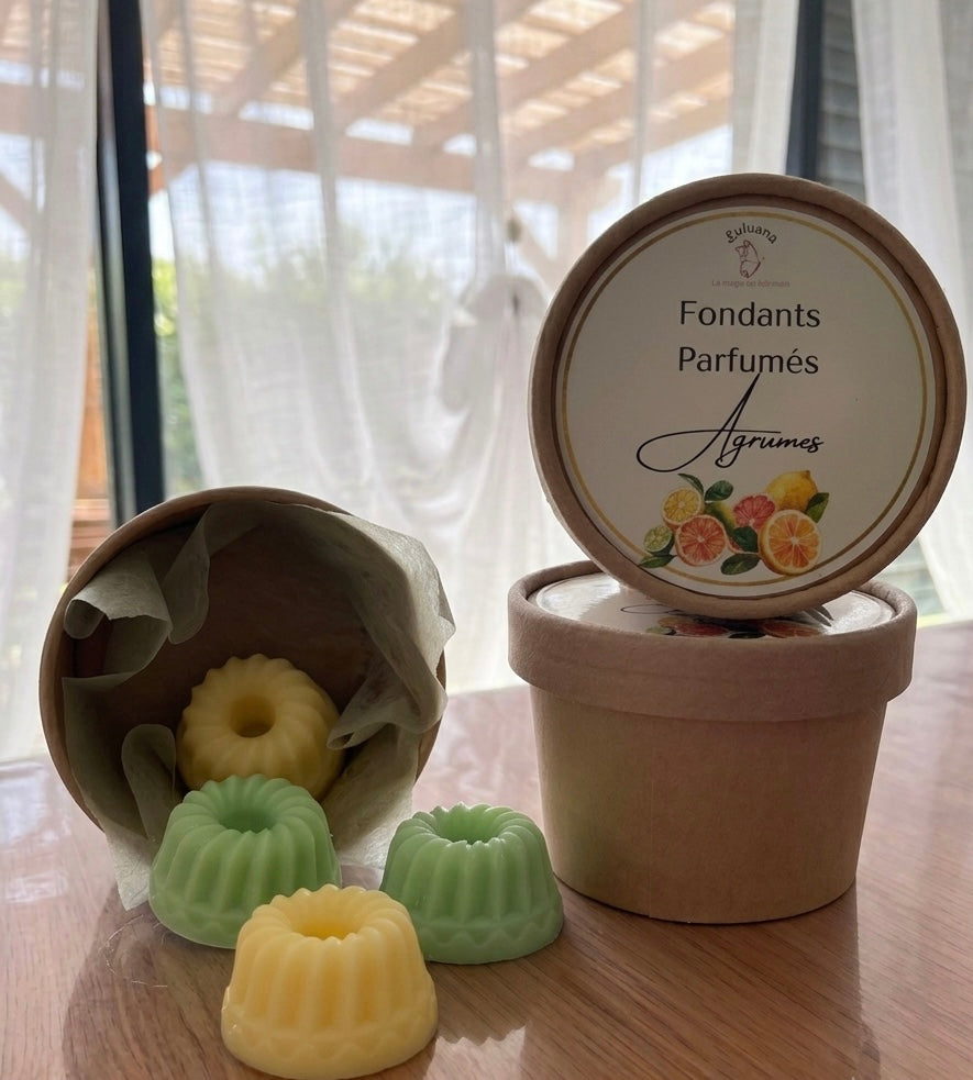 Box Fondants Parfumés – Agrumes
